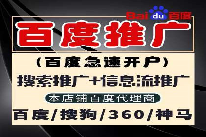 竞价代运营助力电商销量翻倍案例